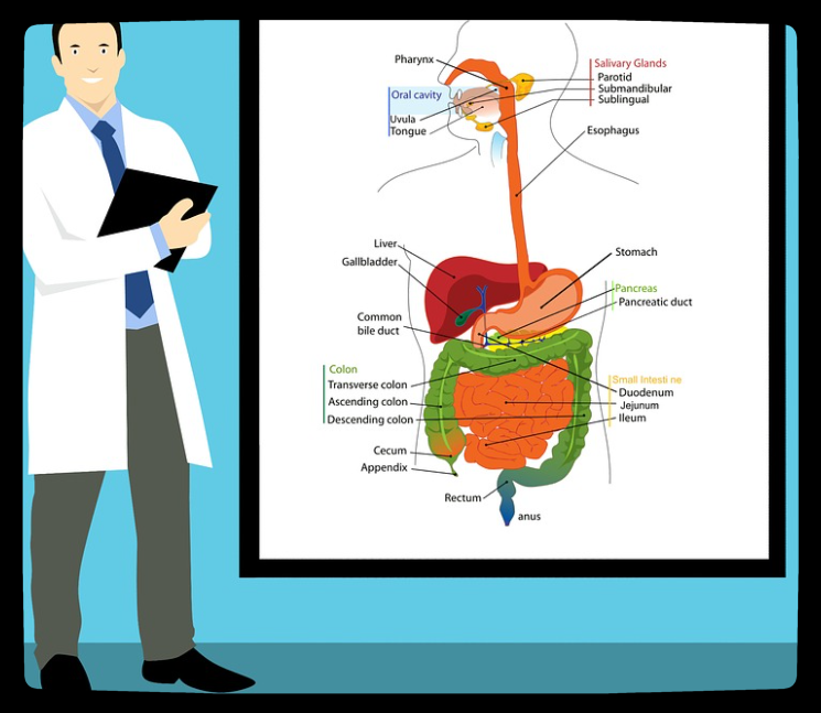 胃腸機(jī)檢查