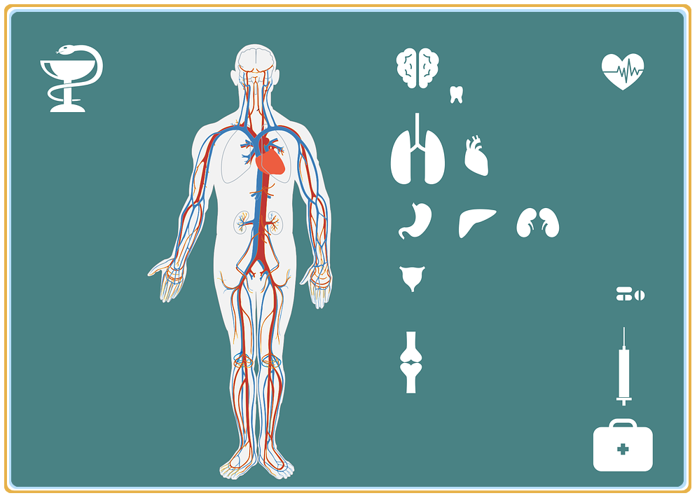 動(dòng)態(tài)DR普及